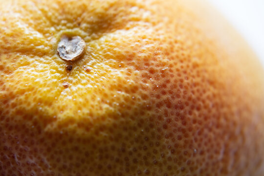 Grapefruit
