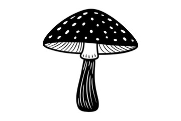 mushroom vector illustration
