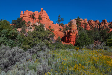 Colourful landscape along Scenic Byway 12, Dixie National Forest, Utah, USA.