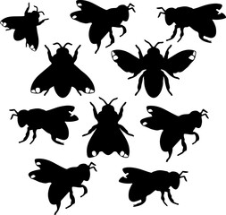 
fly icon set