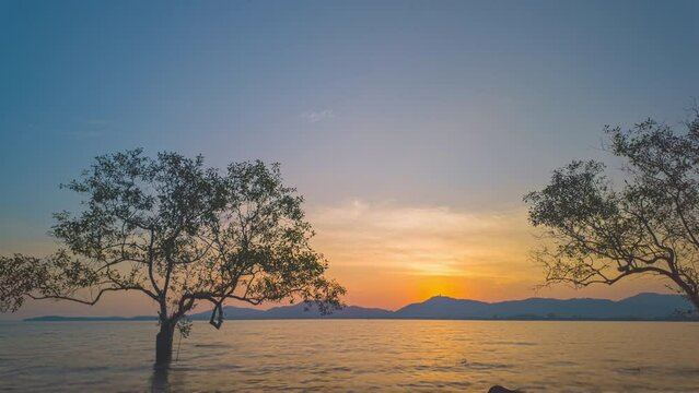 Time lapse beautiful sunset in the gap of mangrove trees. .The sky was filled with a palette of reds, oranges, and purples, .painting a beautiful sunset scene..Sunset with amazing light rays effe