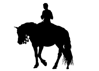 Horseman rides a horse on a white background - 762368604