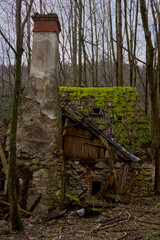 abandoned weathered house in the forest