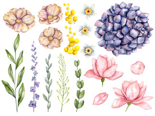 Hand-drawn watercolor flower shop set
