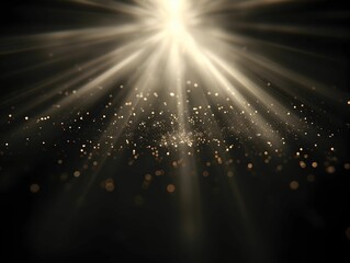 natural light overlays on a dark background.