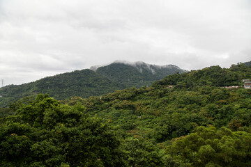 The cloudy on mountain in alishan national park at taiwan