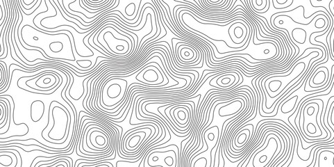 Abstract topographic contours map background. Ocean topographic line map with curvy wave isolines vector.  