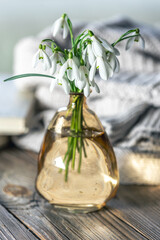 A bouquet of snowdrops in a glass vase on a blurred background.