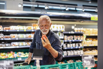 Closeup portrait of a mature man shopping for tomatoes in a grocery store. Senior man carefully...