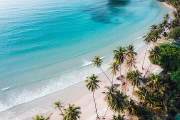 Aerial Beach and coconut trees on a calm island in the morning