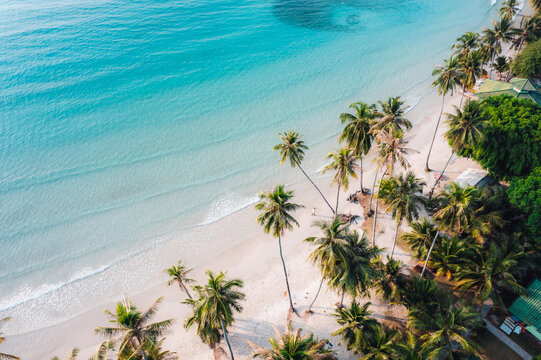 Aerial Beach and coconut trees on a calm island in the morning