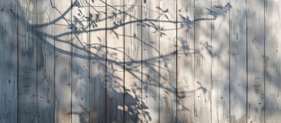 A tree branch creates a shadow on a wooden fence, forming a unique pattern of light and dark. The natural art contrasts with the manmade building facade nearby