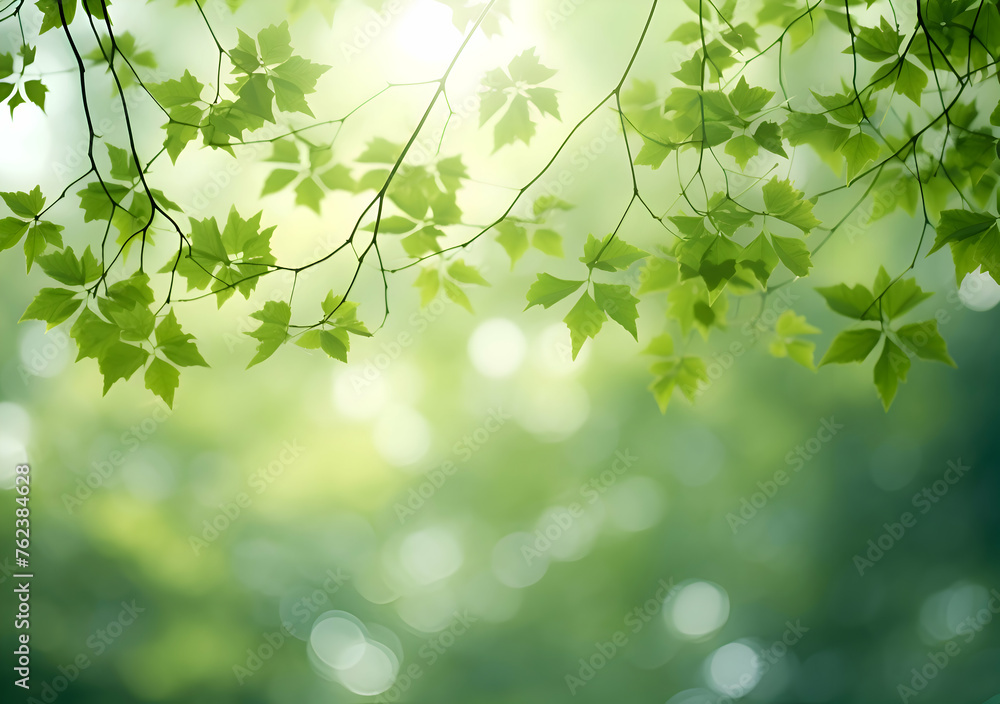 Poster close up spring nature view of green brunches on blurred garden background with copy space. natural 