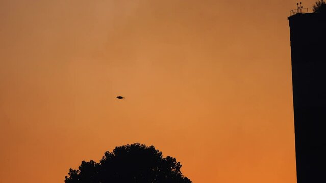 The crow flies on the evening sky. Sunset. Red Sky.
