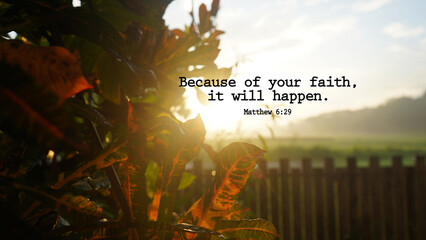 Bible verse quote from Matthew 6:29 - Because of your faith, it will happen. On warm sunlight...