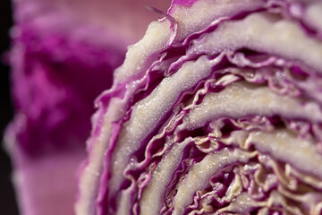 Purple cabbage macro abstract background. Creative composition in the harsh sunlight. Cut the crude product. Vegetarianism, diet, vitamins. Purple Peking cabbage for salads. The texture of the food - 762389601