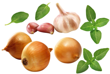 composição com cebola, alho e folhas de manjericão isolado em fundo transparente - temperos variados 