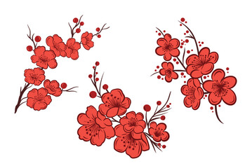 Asian sakura cherry blossom branch set, minimalist simple flat vector illustration isolated on white background. Clip art element collection for oriental template, banner © Caelestiss