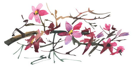 A branch of a plum blossom. A watercolor sketch.