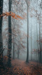A forest filled with numerous trees covered in thick fog, creating a mystical and atmospheric scene. The fog obscures the distant tree trunks, giving the forest a sense of depth and mystery.