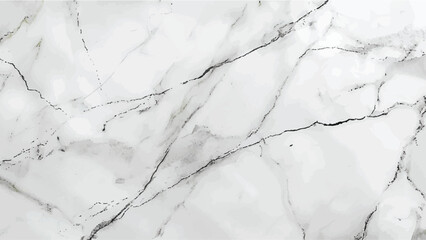 Luxury White Gray Marble texture background vector. Panoramic Marbling texture design for Banner, invitation, wallpaper, headers, website, print ads, packaging design template. italian marble - obrazy, fototapety, plakaty