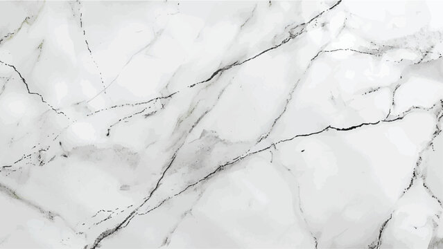 Luxury White Gray Marble texture background vector. Panoramic Marbling texture design for Banner, invitation, wallpaper, headers, website, print ads, packaging design template. italian marble