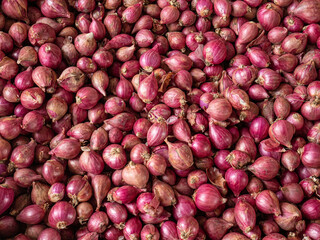 a collection of fresh shallots after harvest in a private garden. red onion.