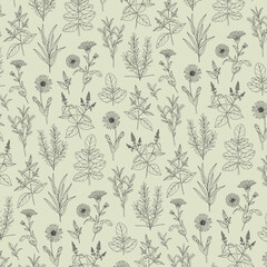 Line art hand drawn botanical pattern. Healing herbs pattern. Seamless plants pattern. Plants outline on a pastel background. Apothecary, organic ingredients, aromatherapy plants. 