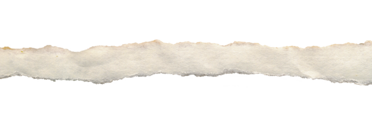 A torn piece of paper texture. Old antique sheet paper with space for text.