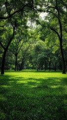 Fototapeta na wymiar a green field enveloped by lush trees, captured in a realistic photograph that evokes a sense of peace and harmony.