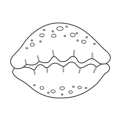 Seashell vector illustration. Black and white outline Seashell Coloring page for kids and adults. Page for relaxation and meditation. Vector illustration