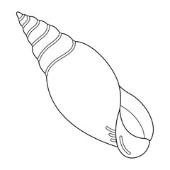 Seashell vector illustration. Black and white outline Seashell Coloring page for kids and adults. Page for relaxation and meditation. Vector illustration