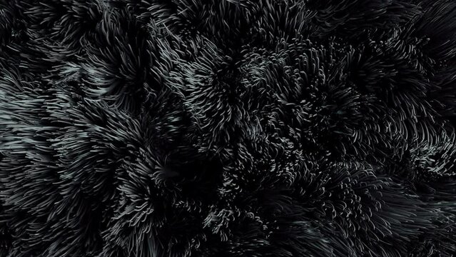 abstract black hair animation background