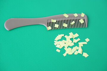 Comb and small pieces of paper. Equipment, prepared to do experiment about static electricity....