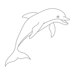 Outline Dolphin Clipart for Lovers of Aquatic Life of Sea Animals and Ocean Creatures