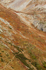 Détails roche montagne