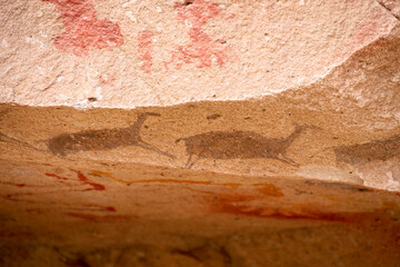 Close up of colourful animal rockpaintings of llamas and handprints on  at Cueva de las Manos, UNESCO World Heritage Site, Patagonia, Argentina