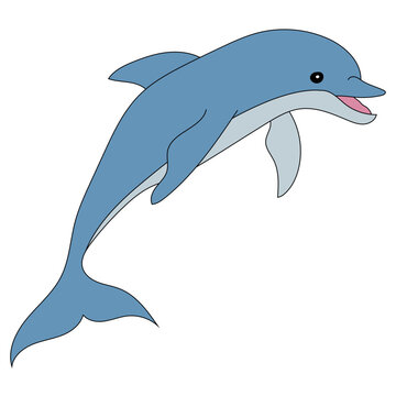 Colorful Dolphin Clipart for Lovers of Aquatic Life of Sea Animals and Ocean Creatures