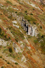 Fototapeta na wymiar Détails roche montagne