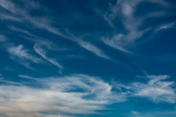 Fototapeta na wymiar vista al cielo con nubes dispersas por el viento