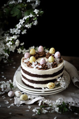 Fototapeta premium easter chocolate eggs. chocolate cake for Easter. cake decor