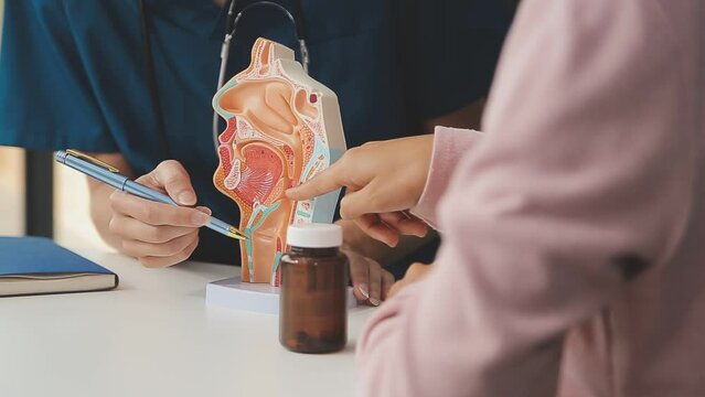 asian female doctor wearing face mask is showing a rectal model and explaining to elder senior man patient in hospital
