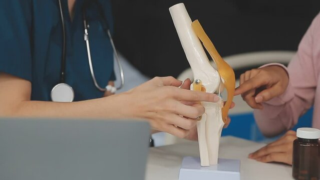 Human cruciate ligament injury treatment concept. Orthopedist showing to cruciate ligament in a knee-joint medical teaching model, close-up
