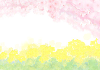 Obraz na płótnie Canvas 水彩風の菜の花と満開の桜の背景フレーム