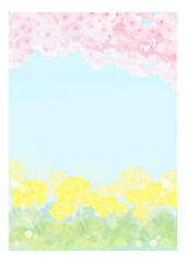 Fototapeta na wymiar 水彩風の菜の花と満開の桜の背景