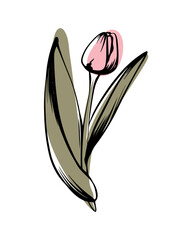 Tulip in sketch style with abstract color shapes, hand-drawn isolated on white background. Floral sketch for print designs, signage, flower shops, logos in black and white.