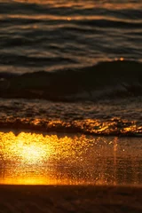 Crédence de cuisine en verre imprimé Oiseaux sur arbre sunset in the sea