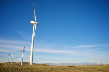 Wind turbine generators for sustainable electricity production