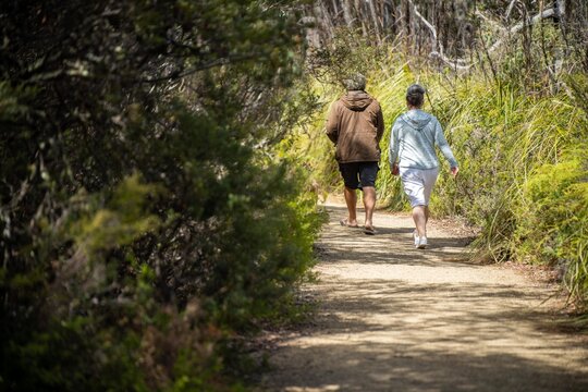couple Bush walking on a mountain. Hiking in the bush in tasmania australia. Hiker hiking on mt wellington in the national park
