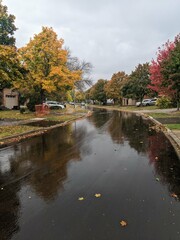 Fototapeta premium A residential street in the suburbs during a colorful fall on a cloudy day